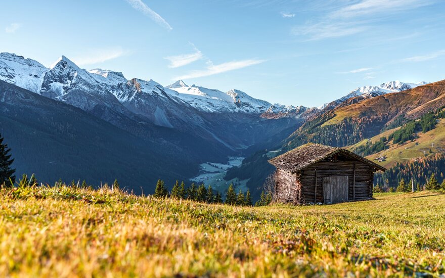 Eine kleine Holzhütte auf einer Wiese mit einer Bergkulisse im Hintergrund.
