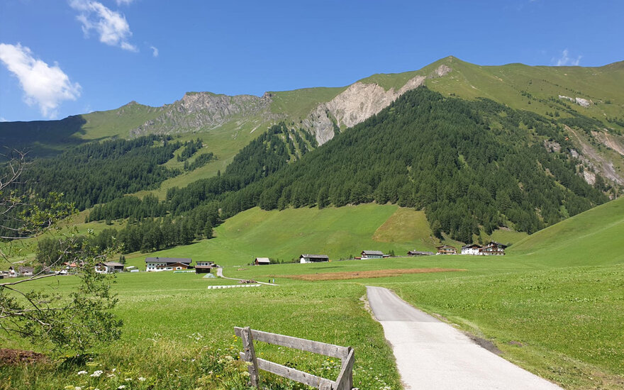 Eine malerische Landschaft mit sanften Hügeln, bewaldeten Bergen und verstreuten Bauernhäusern unter einem strahlend blauen Himmel.