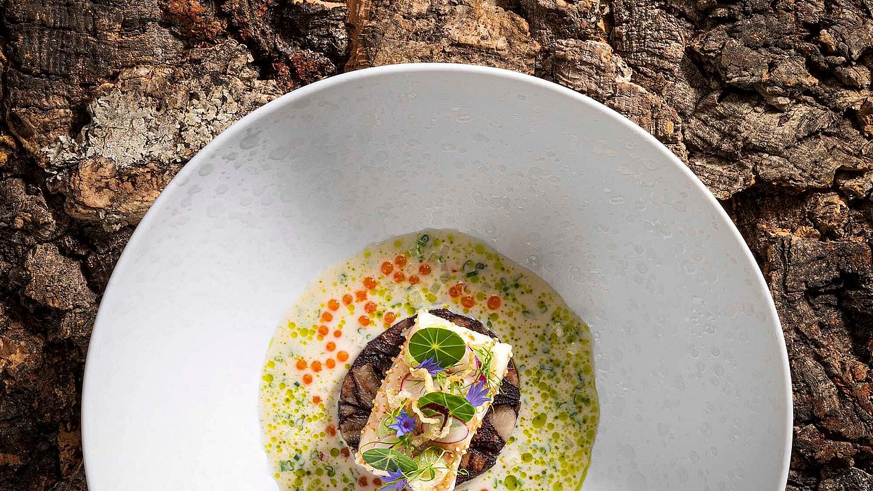 Vorspeise am Teller