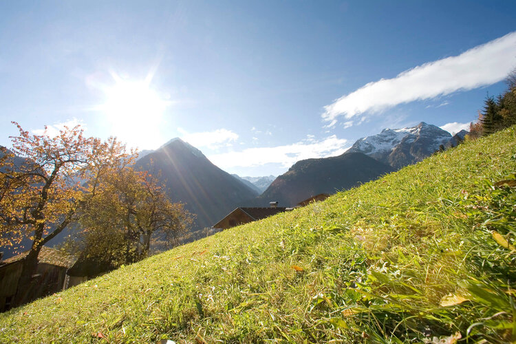 Ein sonniger Herbsttag in den Bergen, mit bunten Bäumen und schneebedeckten Gipfeln im Hintergrund.