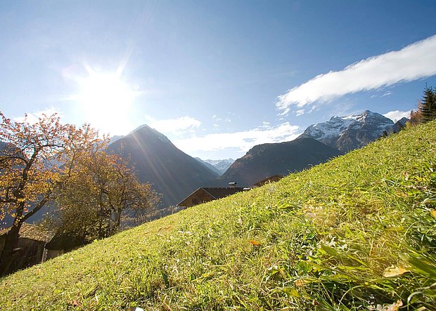 Herbstwiese im Zillertal Herbstwiese im Zillertal