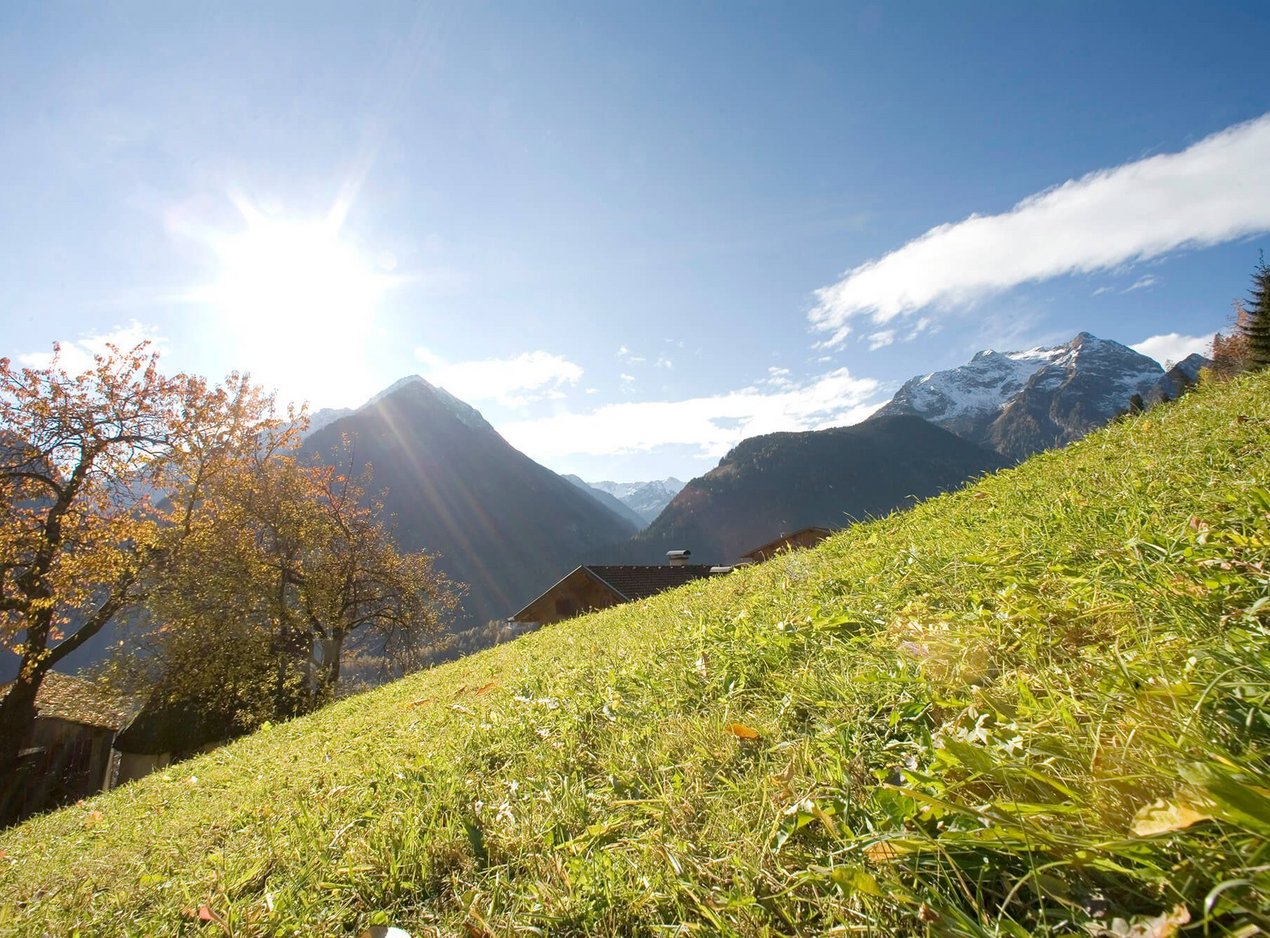 Herbstwiese im Zillertal