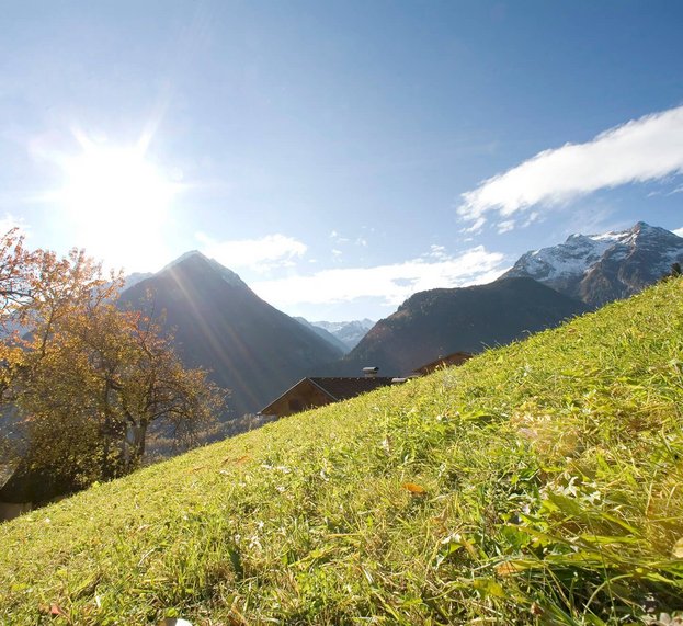 Herbstwiese im Zillertal