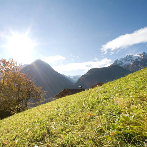 Ein sonniger Herbsttag in den Bergen, mit bunten Bäumen und schneebedeckten Gipfeln im Hintergrund.