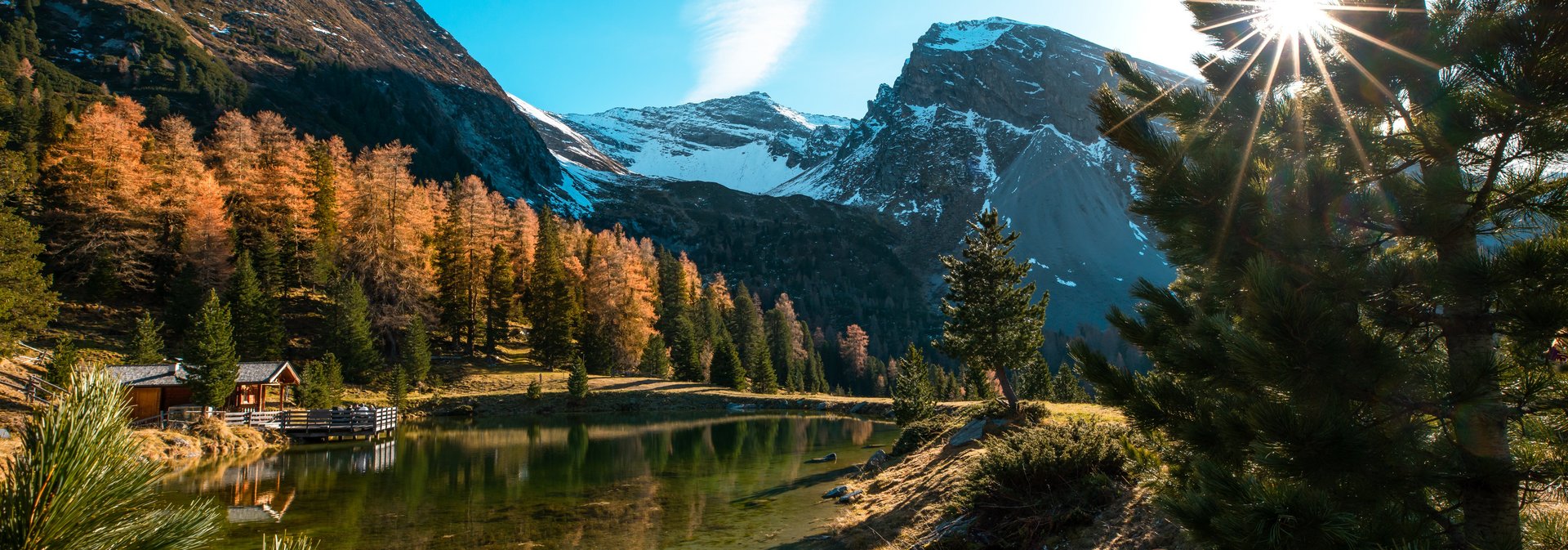 Blick auf verschneite Berge durch herbstlich verfärbte Natur