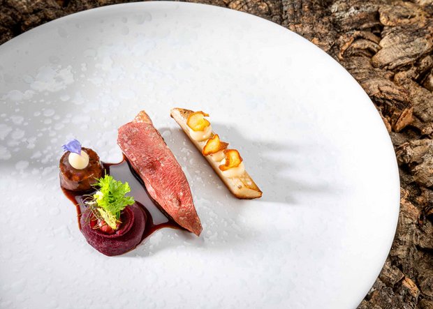 Hauptspeise mit Fleisch Ein Stückchen Fleisch mit Gemüse liegt auf einem weißen Teller und ist schön dekoriert