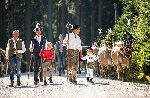 Almabtrieb im Zillertal