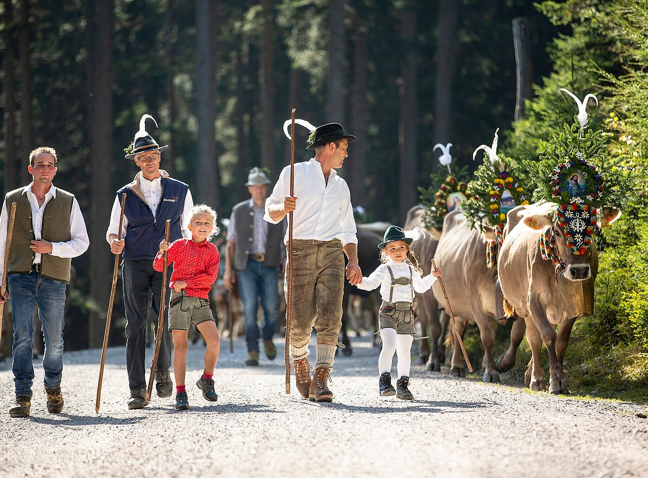 Almabtrieb im Zillertal