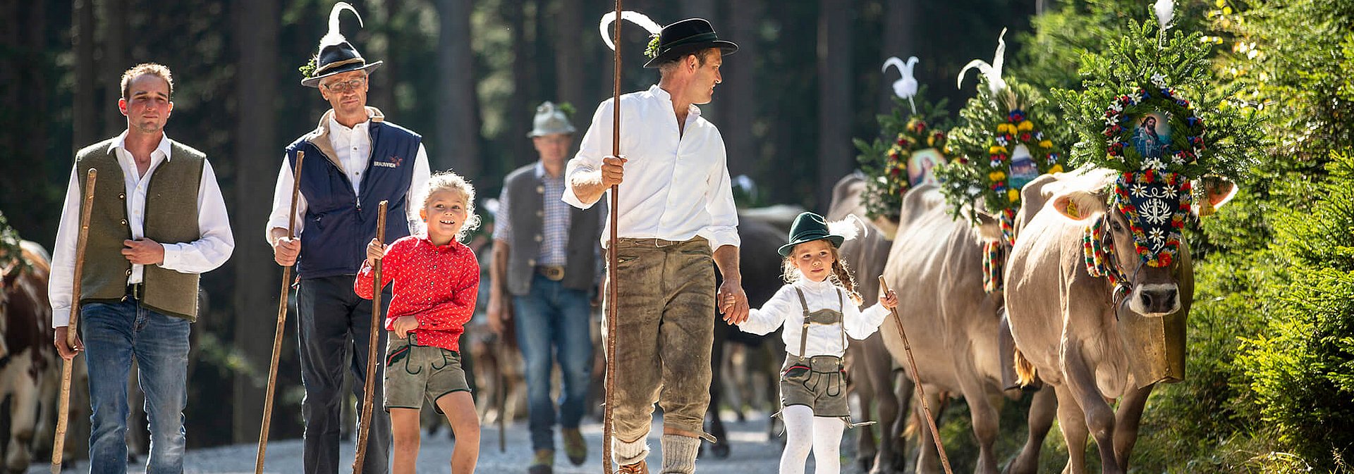 Almabtrieb im Zillertal