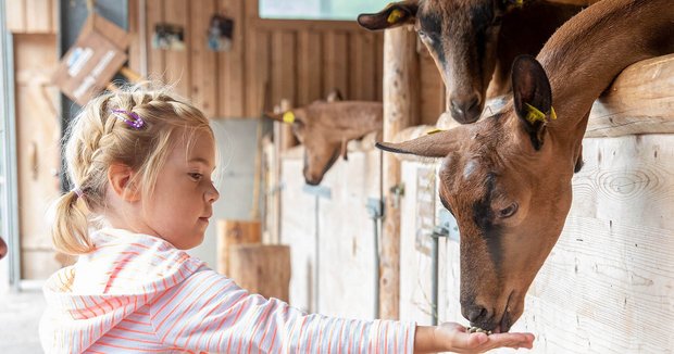 Mädchen füttert Ziege