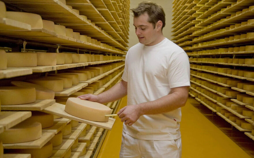 Ein Käsehersteller in einem Lagerraum, umgeben von Regalen voller Käse, während er einen Käse auf ein Brett hebt.