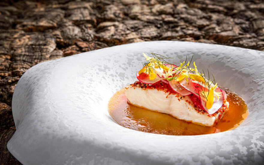 Ein zartes Fischfilet liegt auf einem eleganten Teller, garniert mit Radieschen und frischen Kräutern in einer aromatischen Sauce.