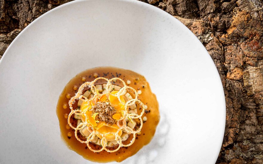 Ein kunstvoll angerichteter Teller mit einer gelben und braunen Speise, umgeben von einer klaren Sauce und feinen Dekorationen.