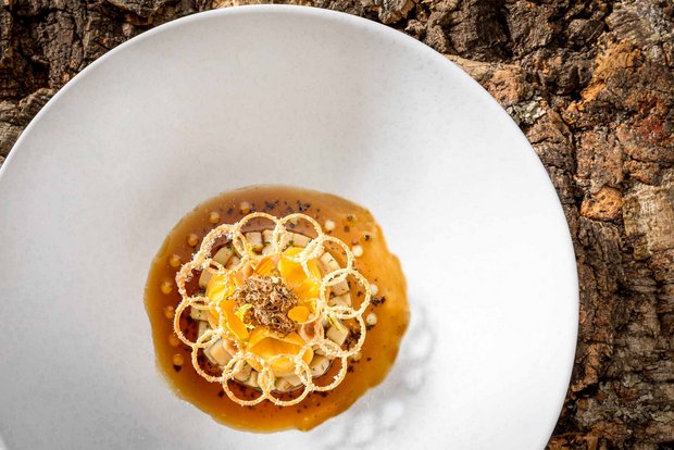 Vorspeisen-Variation