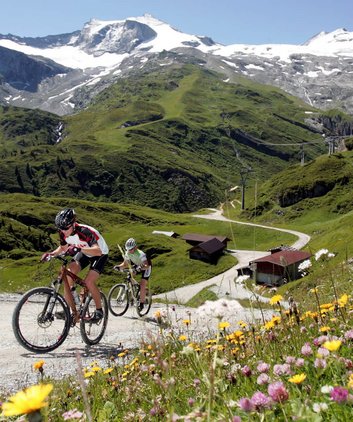Mountainbiker beim Bergauf-Fahren