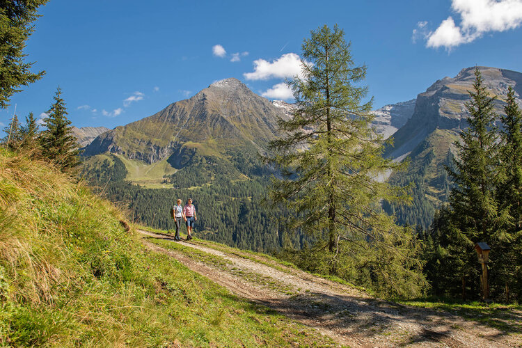 Zwei Wanderer gehen auf einem schmalen Pfad durch eine malerische Berglandschaft mit grünen Wiesen und hohen Bergen.