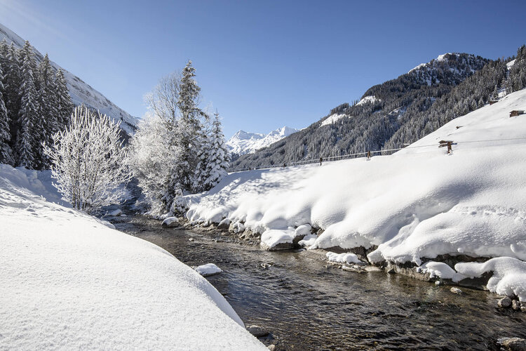 Ein klarer Gebirgsfluss schlängelt sich durch eine schneebedeckte Landschaft, umgeben von hohen, verschneiten Tannenbäumen.