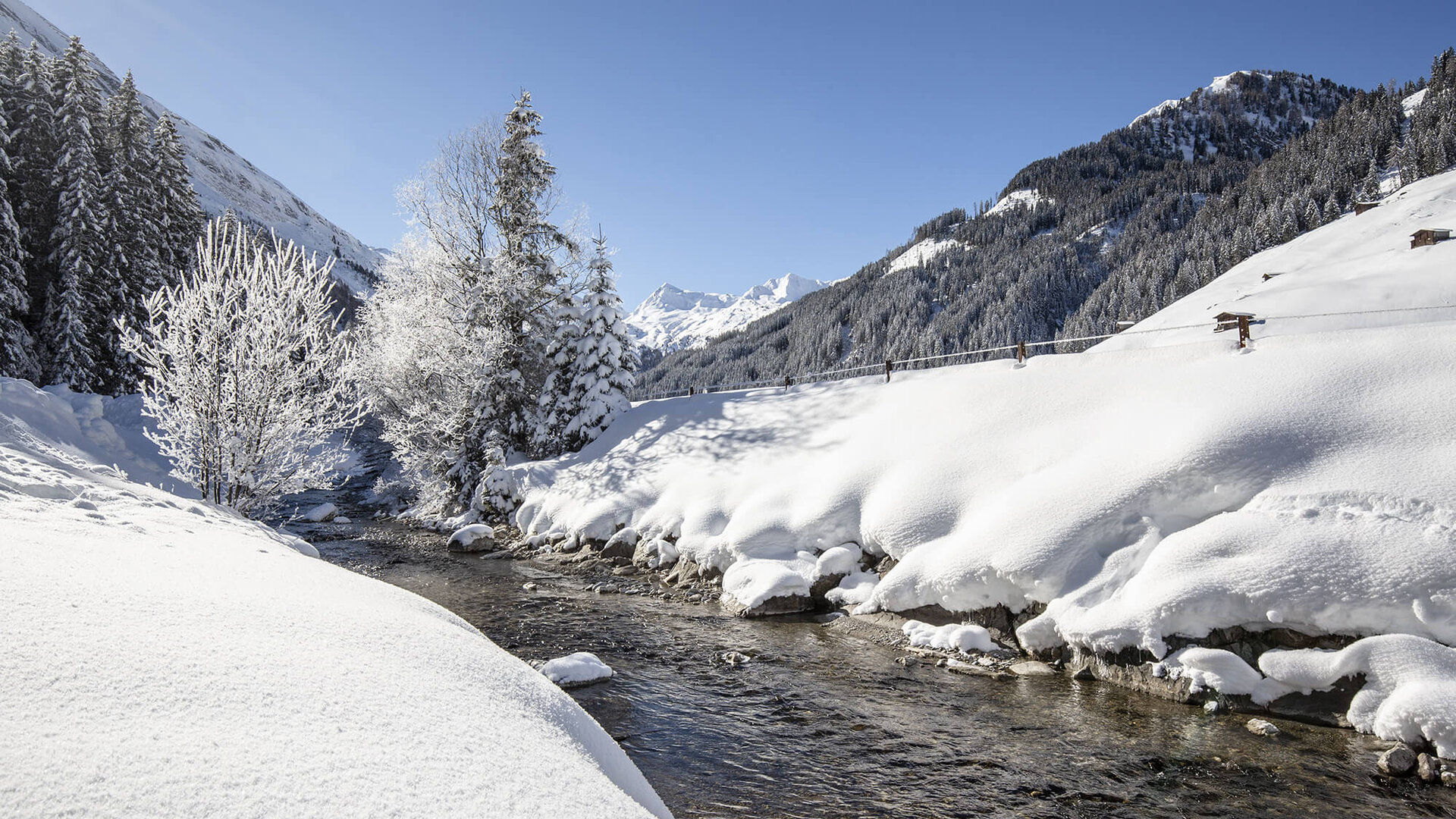 Ein klarer Gebirgsfluss schlängelt sich durch eine schneebedeckte Landschaft, umgeben von hohen, verschneiten Tannenbäumen.