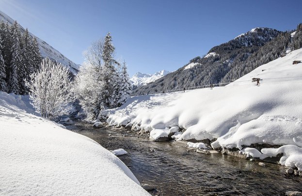 Tuxbach im Winter