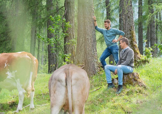 Maximilian Stock und Klaus Dengg bei den Kühen auf der Weide