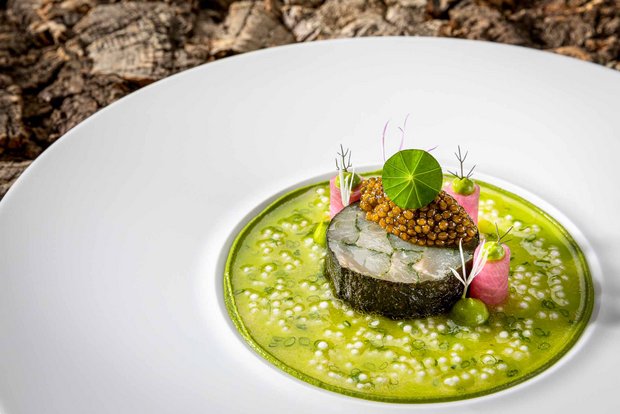 Kalte Fischvorspeise auf einem weißen Teller mit Dekoration